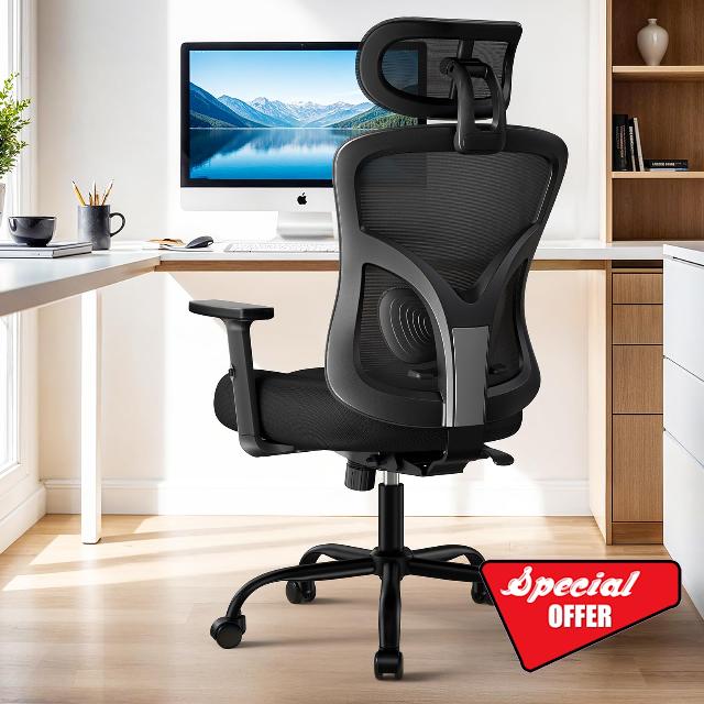 HUANUO Ergonomic Office Chair
