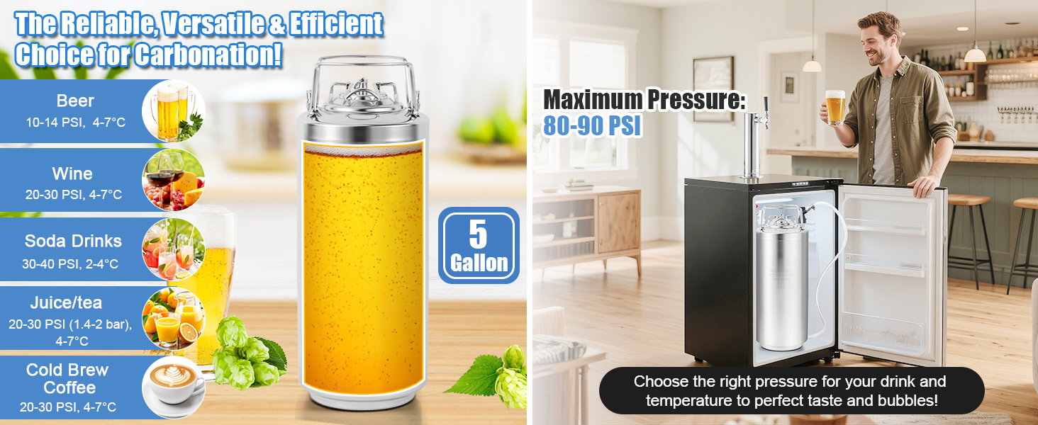 Double Ball Lock Post Corny Keg For Craft Beer, Cold Brew Keg for Party